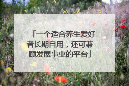 一个适合养生爱好者长期自用，还可兼顾发展事业的平台