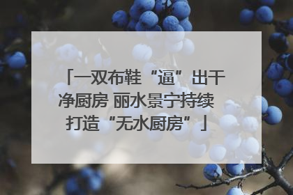 一双布鞋“逼”出干净厨房 丽水景宁持续打造“无水厨房”