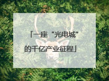 一座“光电城”的千亿产业征程