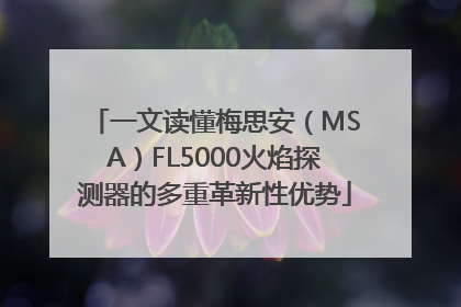 一文读懂梅思安（MSA）FL5000火焰探测器的多重革新性优势