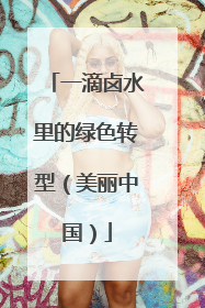 一滴卤水里的绿色转型（美丽中国）