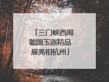 三门峡西周虢国玉器精品展亮相杭州