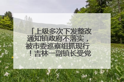 上级多次下发整改通知镇政府不落实，被市委巡察组抓现行！吉林一副镇长受党内警告处分