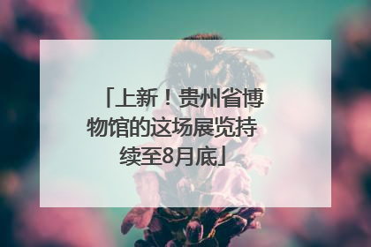 上新！贵州省博物馆的这场展览持续至8月底