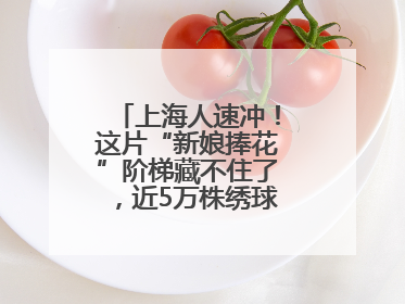 上海人速冲！这片“新娘捧花”阶梯藏不住了，近5万株绣球花如梦似幻