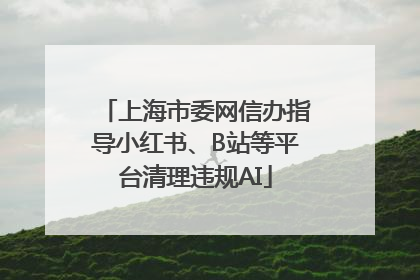 上海市委网信办指导小红书、B站等平台清理违规AI