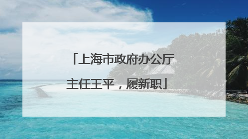 上海市政府办公厅主任王平，履新职