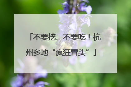 不要挖、不要吃！杭州多地“疯狂冒头”