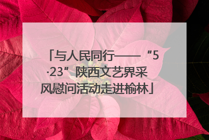 与人民同行——“5·23”陕西文艺界采风慰问活动走进榆林