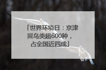 世界环境日：京津冀鸟类超600种，占全国近四成