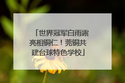 世界冠军白雨露亮相铜仁！莞铜共建台球特色学校