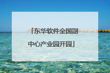 东华软件全国副中心产业园开园