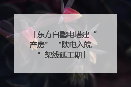 东方白鹳电塔建“产房” “陕电入皖”架线延工期