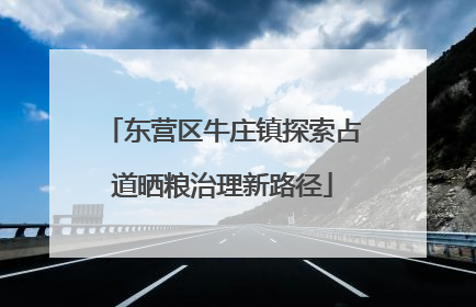 东营区牛庄镇探索占道晒粮治理新路径