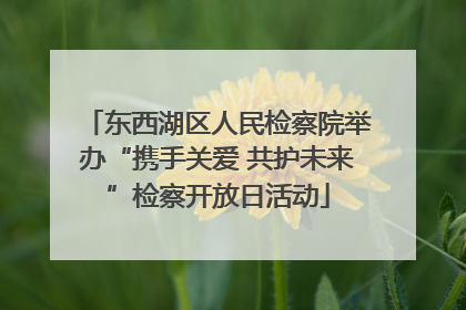 东西湖区人民检察院举办“携手关爱 共护未来”检察开放日活动