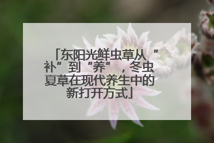 东阳光鲜虫草从“补”到“养”，冬虫夏草在现代养生中的新打开方式