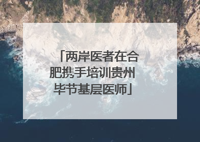 两岸医者在合肥携手培训贵州毕节基层医师