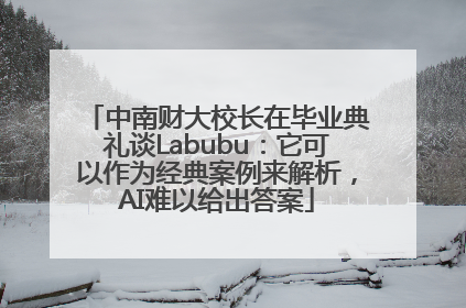 中南财大校长在毕业典礼谈Labubu：它可以作为经典案例来解析，AI难以给出答案