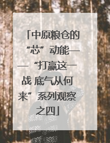中原粮仓的“芯”动能——“打赢这一战 底气从何来”系列观察之四