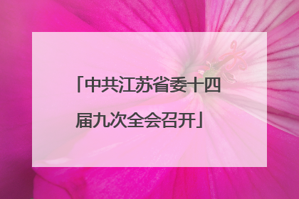 中共江苏省委十四届九次全会召开
