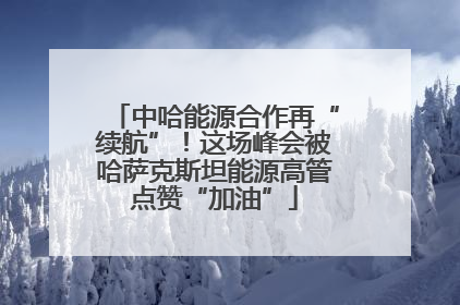 中哈能源合作再“续航”！这场峰会被哈萨克斯坦能源高管点赞“加油”