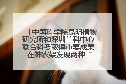 中国科学院昆明植物研究所和深圳兰科中心联合科考取得重要成果 在神农架发现两种“国保”级兰花