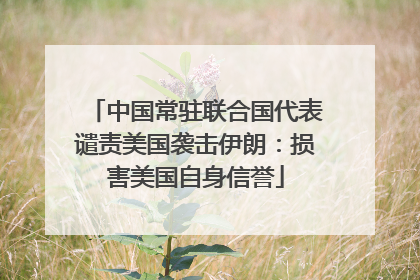 中国常驻联合国代表谴责美国袭击伊朗：损害美国自身信誉