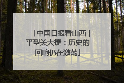 中国日报看山西｜平型关大捷：历史的回响仍在激荡