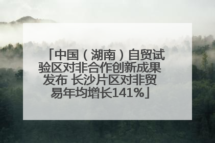 中国（湖南）自贸试验区对非合作创新成果发布 长沙片区对非贸易年均增长141%