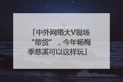中外网络大V现场“带货”，今年杨梅季慈溪可以这样玩