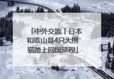 中外交流丨日本和歌山县4只大熊猫踏上回国旅程