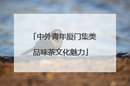 中外青年厦门集美品味茶文化魅力