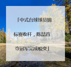 中式台球球员锦标赛收杆，陈喆首夺冠军完成蜕变