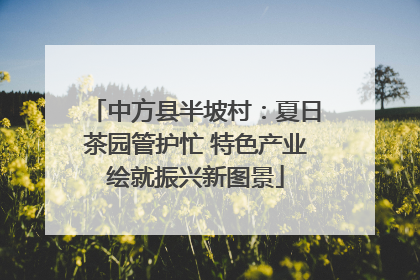 中方县半坡村：夏日茶园管护忙 特色产业绘就振兴新图景