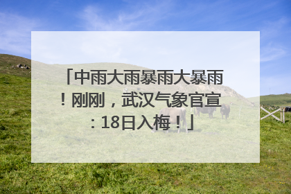中雨大雨暴雨大暴雨！刚刚，武汉气象官宣：18日入梅！