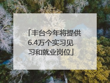 丰台今年将提供6.4万个实习见习和就业岗位