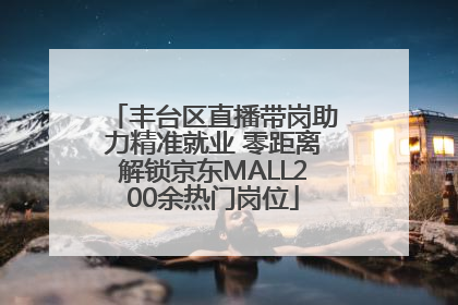 丰台区直播带岗助力精准就业 零距离解锁京东MALL200余热门岗位