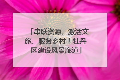 串联资源、激活文旅、服务乡村！牡丹区建设风景廊道
