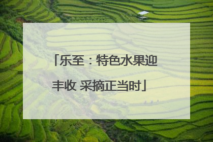 乐至：特色水果迎丰收 采摘正当时