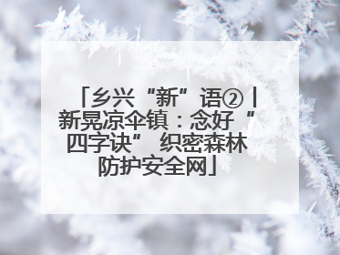 乡兴“新”语②丨新晃凉伞镇：念好“四字诀” 织密森林防护安全网