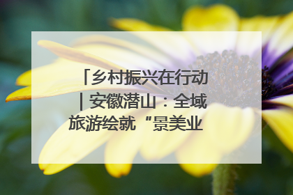 乡村振兴在行动｜安徽潜山：全域旅游绘就“景美业兴民富”新画卷