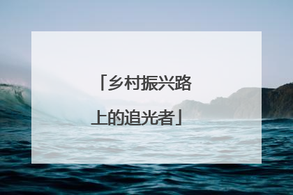 乡村振兴路上的追光者