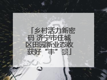 乡村活力新密码 济宁市任城区田园新业态收获好“丰”景