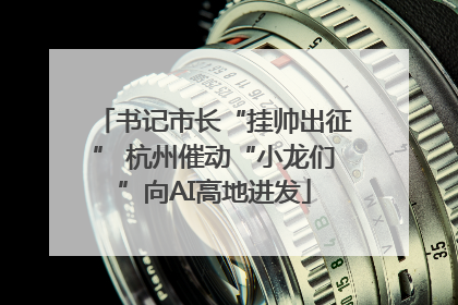 书记市长“挂帅出征” 杭州催动“小龙们”向AI高地进发
