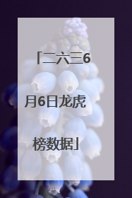 二六三6月6日龙虎榜数据