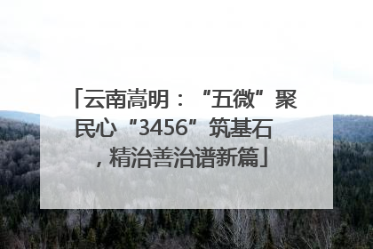 云南嵩明：“五微”聚民心“3456”筑基石，精治善治谱新篇