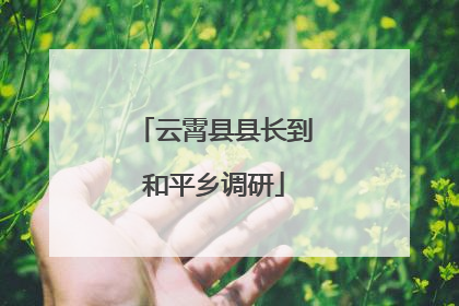 云霄县县长到和平乡调研