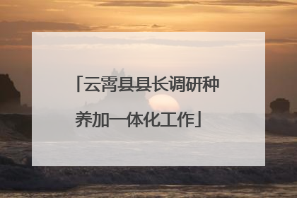 云霄县县长调研种养加一体化工作