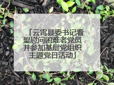 云霄县委书记看望慰问困难老党员并参加基层党组织主题党日活动