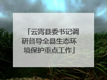 云霄县委书记调研督导全县生态环境保护重点工作